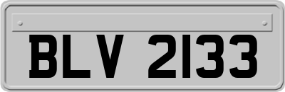 BLV2133