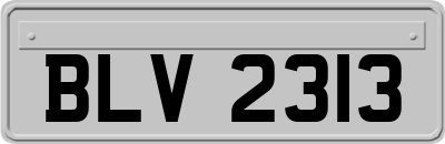 BLV2313