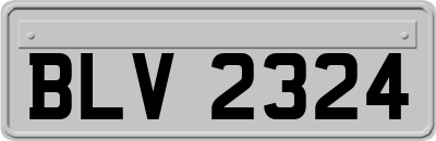 BLV2324