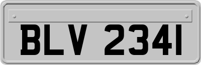 BLV2341