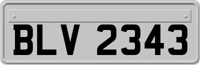 BLV2343