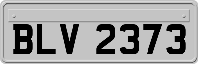 BLV2373