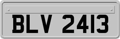 BLV2413
