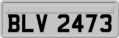 BLV2473