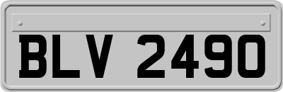 BLV2490
