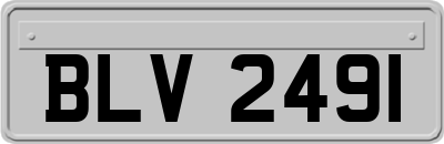 BLV2491