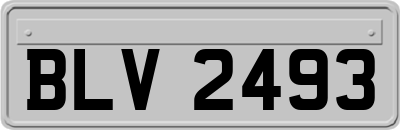 BLV2493