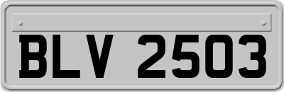 BLV2503