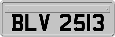 BLV2513