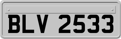 BLV2533