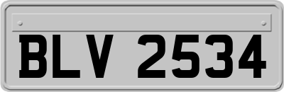 BLV2534