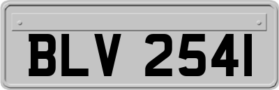 BLV2541