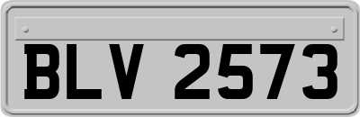 BLV2573