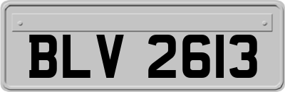 BLV2613