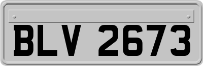 BLV2673