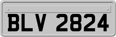 BLV2824