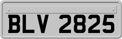 BLV2825