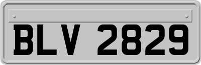 BLV2829