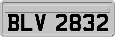 BLV2832