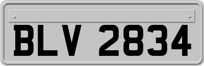 BLV2834