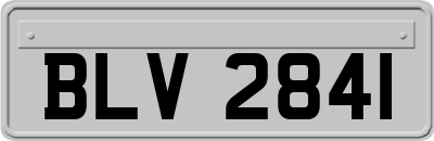 BLV2841
