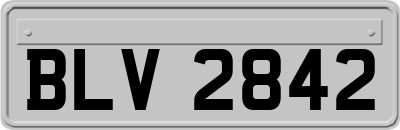 BLV2842