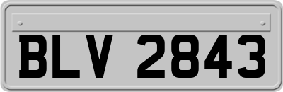 BLV2843
