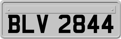 BLV2844