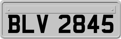 BLV2845