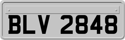 BLV2848