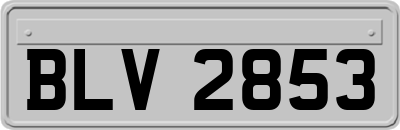 BLV2853