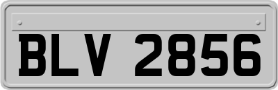 BLV2856