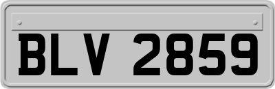 BLV2859