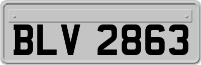 BLV2863