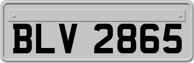 BLV2865