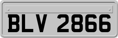 BLV2866