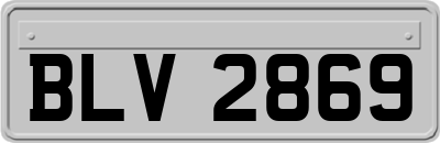 BLV2869