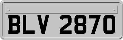BLV2870
