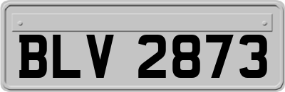 BLV2873