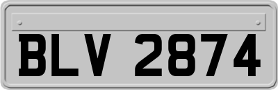 BLV2874