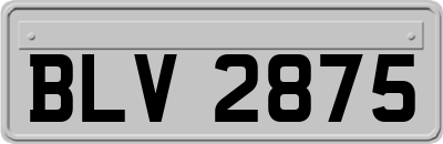 BLV2875