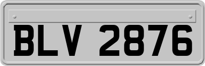 BLV2876