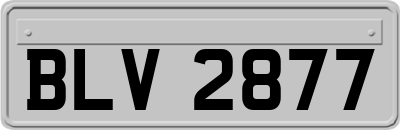 BLV2877
