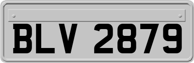 BLV2879