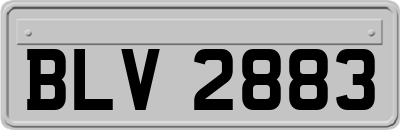 BLV2883