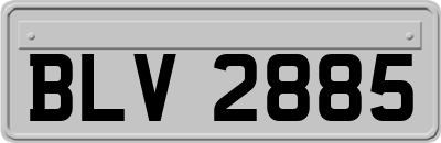 BLV2885