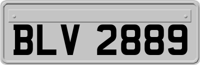 BLV2889