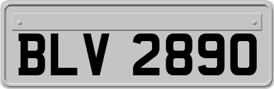 BLV2890