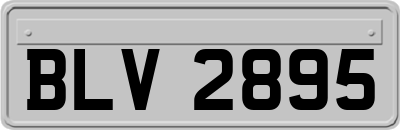 BLV2895