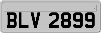 BLV2899